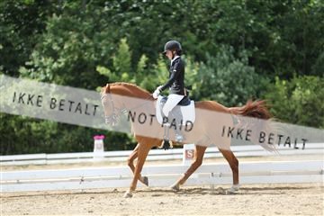 156196_nn_01_IMG_6228.JPG