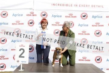 181848_kar_01__62_3826.JPG