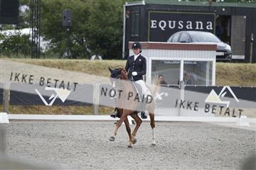 166078_rhj_01__J7R4593.JPG