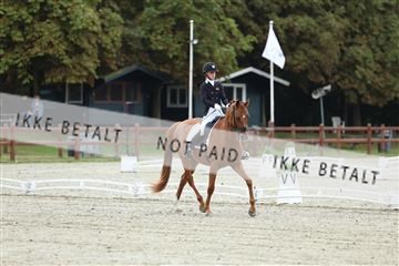181923_mtp_02_R62_7067.JPG