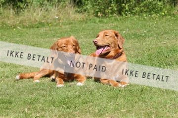 130370_se_03_IMG_7350.JPG