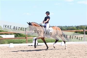 181449_bc_01R62_5817.JPG