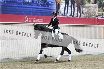 182241_kbb_01_Z094572.JPG