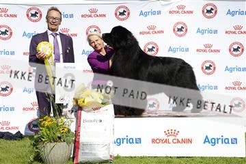 181564_ch_01__62_0376.JPG