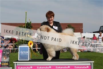 130370_se_02_IMG_6479.JPG