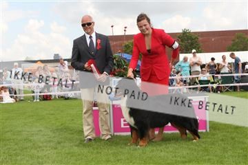 130370_le_02_IMG_8528.JPG