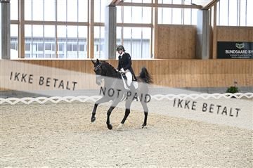 182176_kbb_01_Z094017.JPG