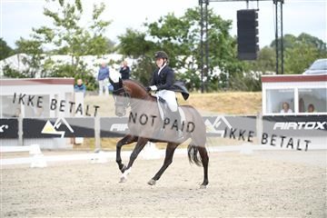 166078_kuo_02_D05_9219.JPG