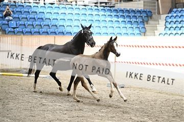 181754_kbb_01_Z093966.JPG