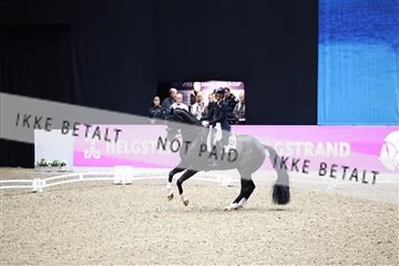 182194_avh_05_2734.JPG