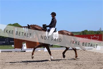 181449_bc_01R62_5606.JPG