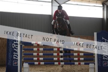 139206_kl_1_8M1Q5161.JPG