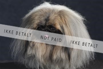 132082_le_ 01_IMG_1570.JPG