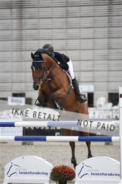 152762_nn _05_IMG_7486.JPG