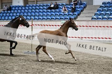 181754_kbb_01_Z093541.JPG