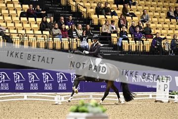 182194_kbb_03_Z090561.JPG