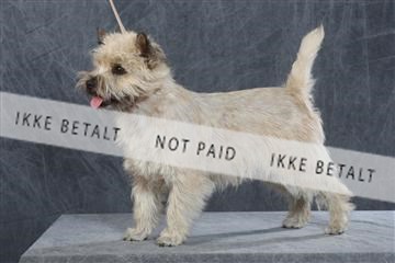 130054_le_ 03_0095.JPG