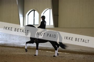 139266_kl_1_8M1Q7387.JPG