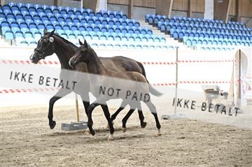 181754_kbb_01_Z093768.JPG
