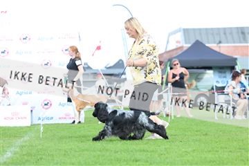 181564_rin_01_R62_0164.JPG