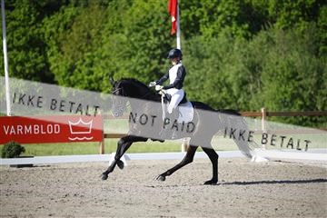 181449_kbb_01_6II8710.JPG