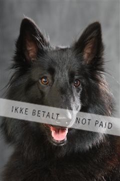 130054_le_ 01_0110.JPG