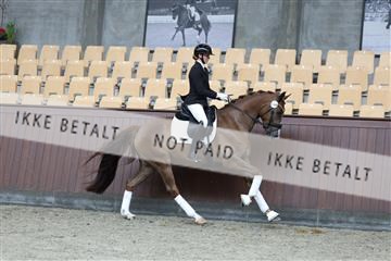 181852_mtp_02_R62_1915.JPG