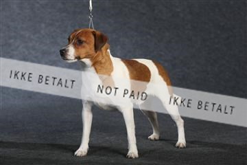 132082_le_ 01_IMG_0988.JPG