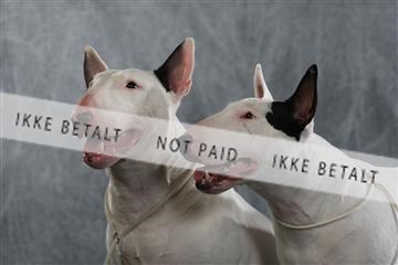 128239_le_kort_ 01_0295.JPG