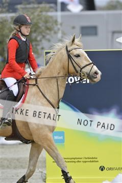 139644_abo_04__AB15374.JPG
