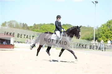 168732_mtp_01_3M5A8010.JPG