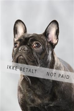 128239_le_kort_ 01_0446.JPG