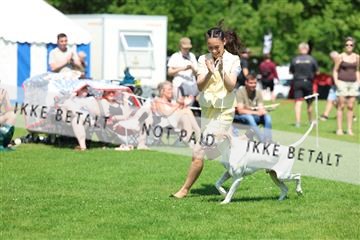 181564_rin_02_R62_2605.JPG