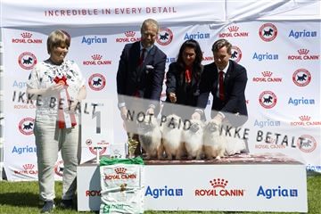 181564_ch_01__62_8735.JPG