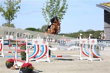 181436_avh_03_4801.JPG