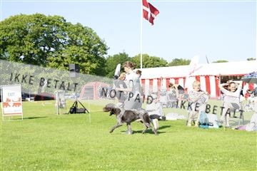 181564_kar_01__62_8294.JPG