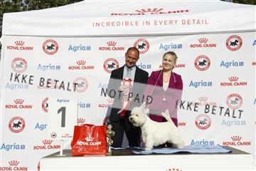 181848_kar_01__62_2843.JPG