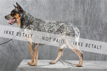 130054_le_ 01_0360.JPG