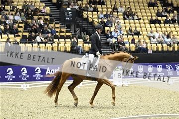 182194_kbb_03_Z090742.JPG