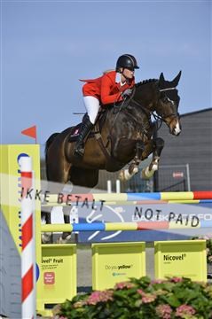 139644_abo_02__AB14811.JPG