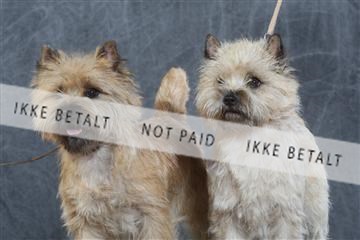 130054_le_ 03_0068.JPG