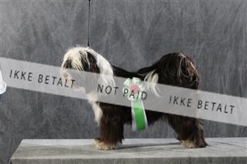 128239_le_kort_ 01_0084.JPG