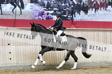 182241_kbb_01_Z095259.JPG
