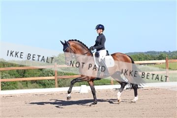 181449_bc_01R62_6194.JPG