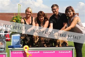 130370_se_03_IMG_7637.JPG