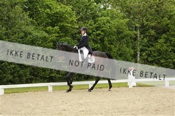 139835_sg_01_IMG_7312.JPG