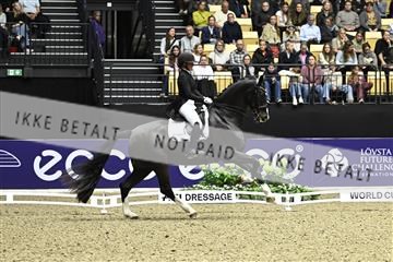 182194_kbb_03_Z092491.JPG
