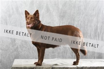 129608_le_ 01_0922.JPG