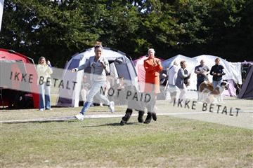 181848_kar_01__62_3125.JPG