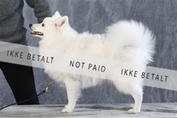 128239_le_ 06_0072.JPG